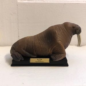 Japanese museum miniature walrus